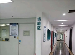 在[哈尔滨]怀孕几个月如何做DNA亲子鉴定，哈尔滨产前亲子鉴定是多少钱啊