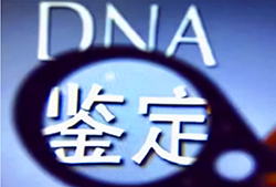 衡水哪里做血缘检测，衡水亲子鉴定如何做