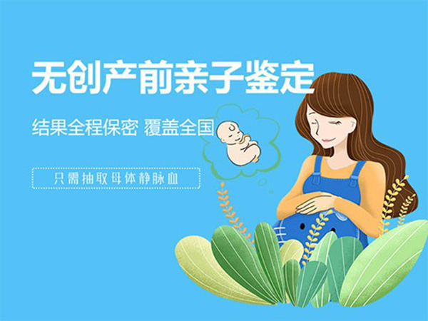 和平区需要怎么办理怀孕亲子鉴定,