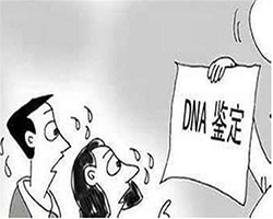 晋中怎样偷偷做血缘检测，晋中亲子鉴定基本流程