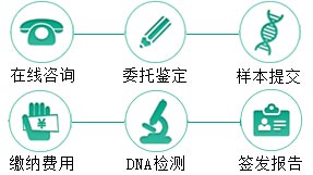 动物鉴定