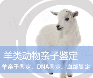 羊类动物亲子鉴定